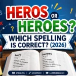 Heros or Heroes Which Spelling Is Correct (2026)