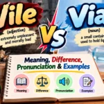 Vile vs Vial: Meaning, Difference, Pronunciation & Examples